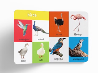 Aper&ccedil;u du contenu_My First 100 Animals And Birds: Padded Board Books
