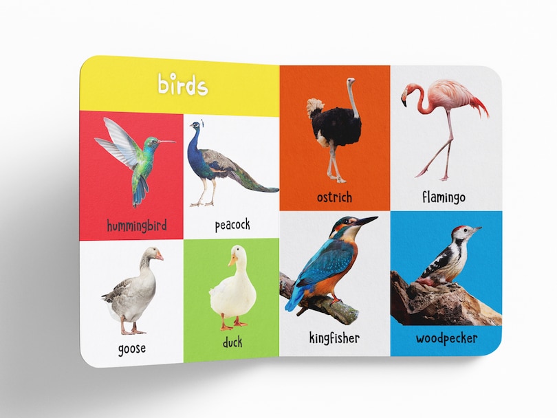 Aper&ccedil;u du contenu_My First 100 Animals And Birds: Padded Board Books