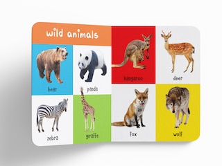 Aper&ccedil;u du contenu 2_My First 100 Animals And Birds: Padded Board Books