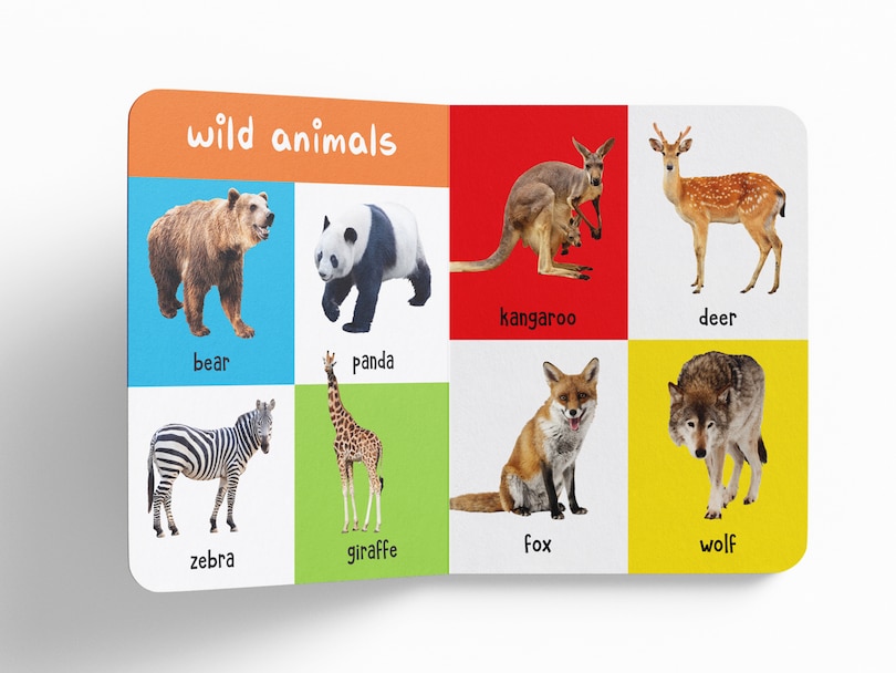 Aper&ccedil;u du contenu 2_My First 100 Animals And Birds: Padded Board Books