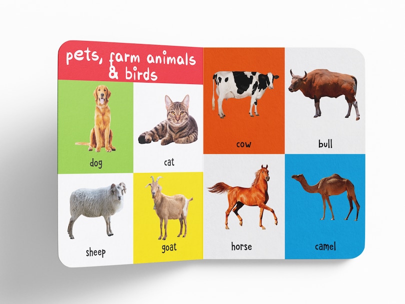 Aper&ccedil;u du contenu 3_My First 100 Animals And Birds: Padded Board Books