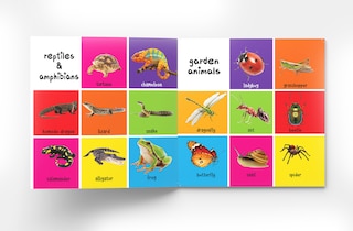 Sample content_My First 100 Animals