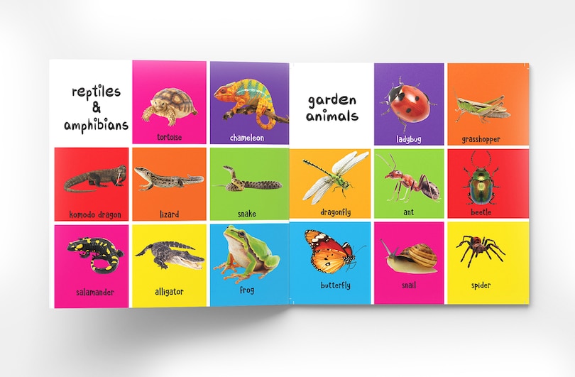 Sample content_My First 100 Animals