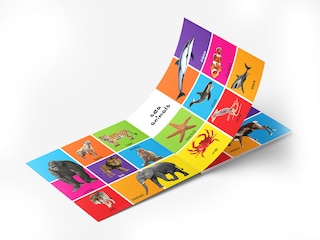 Sample content 2_My First 100 Animals