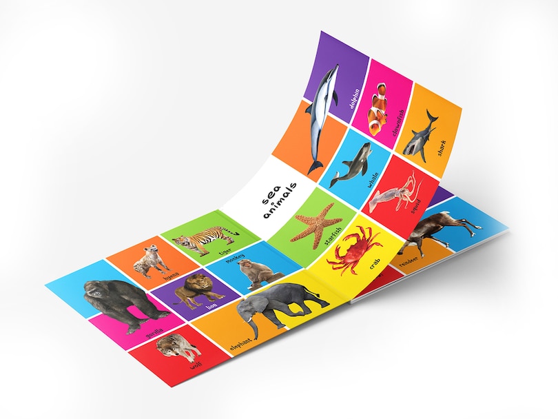 Sample content 2_My First 100 Animals