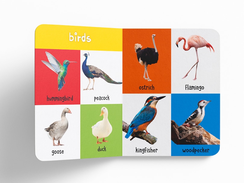 Aper&ccedil;u du contenu_My First 100 Library: Boxset of 5 Early Learning Board Books for Kids/Children (homeschool / preschool / baby/toddler)