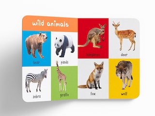 Aper&ccedil;u du contenu 2_My First 100 Library: Boxset of 5 Early Learning Board Books for Kids/Children (homeschool / preschool / baby/toddler)