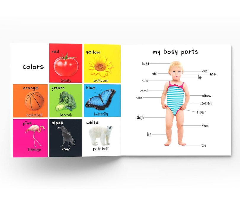 Aper&ccedil;u du contenu 3_My First 100 Words : Early Learning Books for Children