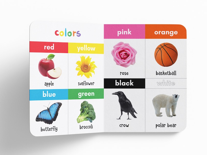 Sample content_My First 100 Words: Padded Board Books