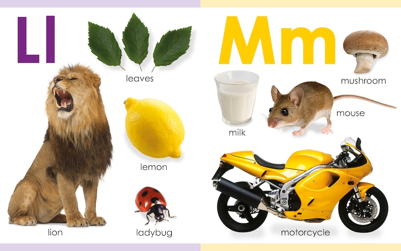 Sample content 2_My First Abc