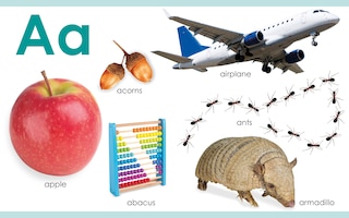 Sample content 3_My First Abc