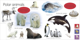 Sample content_My First Animals: Let's Squeak And Squawk!