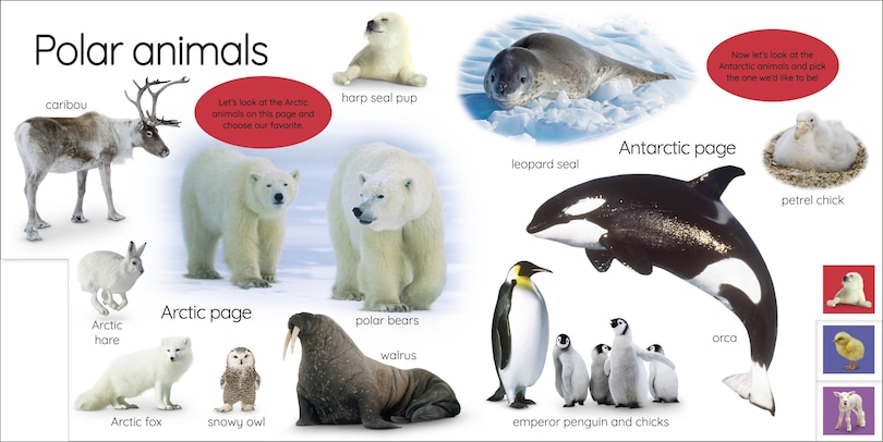 Sample content_My First Animals: Let's Squeak And Squawk!