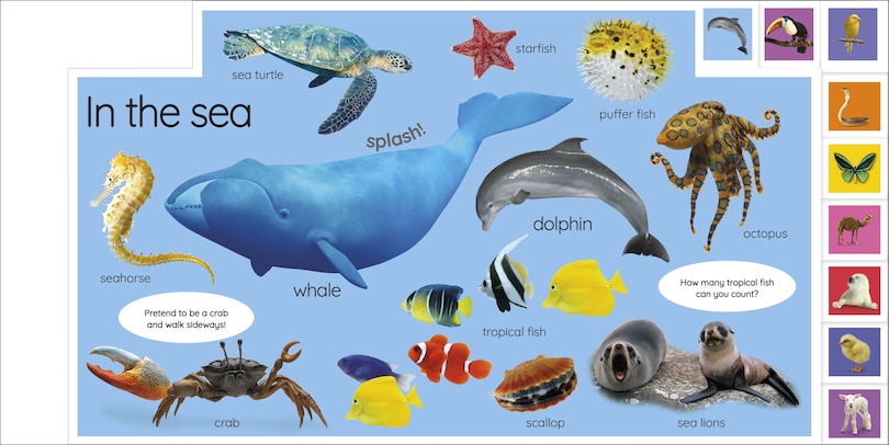 Sample content 2_My First Animals: Let's Squeak And Squawk!