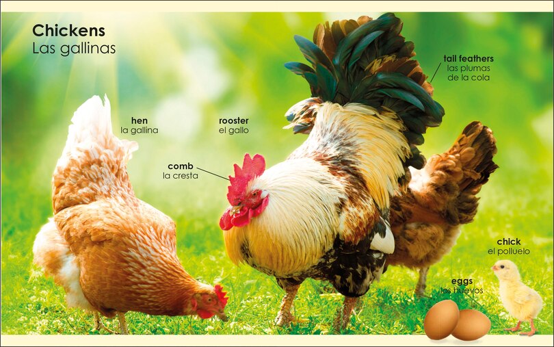 Aper&ccedil;u du contenu_My First Bilingual Farm