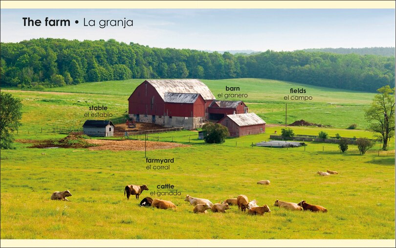 Aper&ccedil;u du contenu 3_My First Bilingual Farm