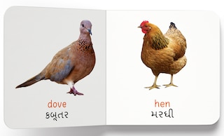 Aper&ccedil;u du contenu 3_My first book of birds English-Gujarati