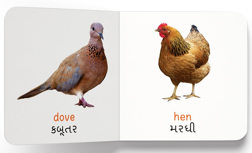 Aper&ccedil;u du contenu 3_My first book of birds English-Gujarati