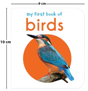 Aper&ccedil;u du contenu 4_My First Book of Birds: First Board Book