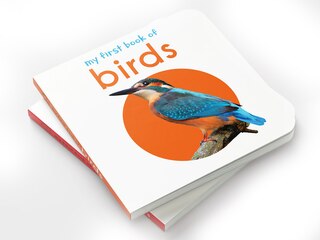 Aper&ccedil;u du contenu 5_My First Book of Birds: First Board Book