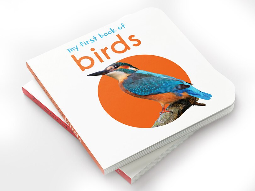 Aper&ccedil;u du contenu 5_My First Book of Birds: First Board Book