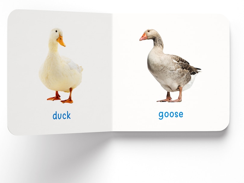 Aper&ccedil;u du contenu_My First Book of Farm Animals & Pets: First Board Book