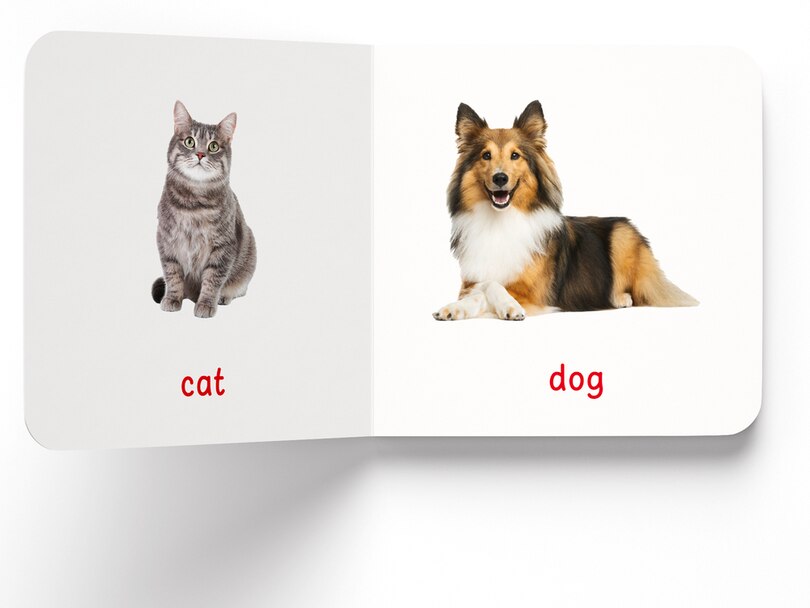 Aper&ccedil;u du contenu 2_My First Book of Farm Animals & Pets: First Board Book