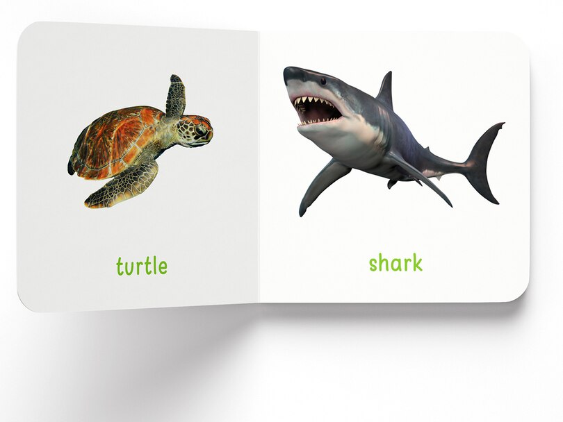 Aper&ccedil;u du contenu_My First Book of Sea Animals: First Board Book