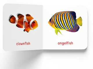 Aper&ccedil;u du contenu 2_My First Book of Sea Animals: First Board Book