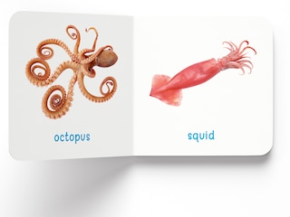 Aper&ccedil;u du contenu 3_My First Book of Sea Animals: First Board Book