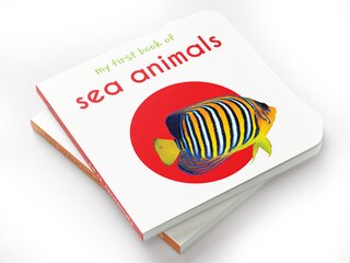 Aper&ccedil;u du contenu 5_My First Book of Sea Animals: First Board Book
