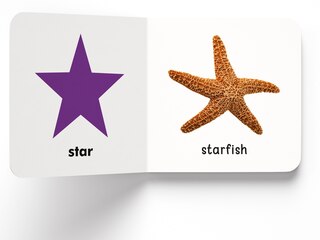 Aper&ccedil;u du contenu_My First Book of Shapes: First Board Book