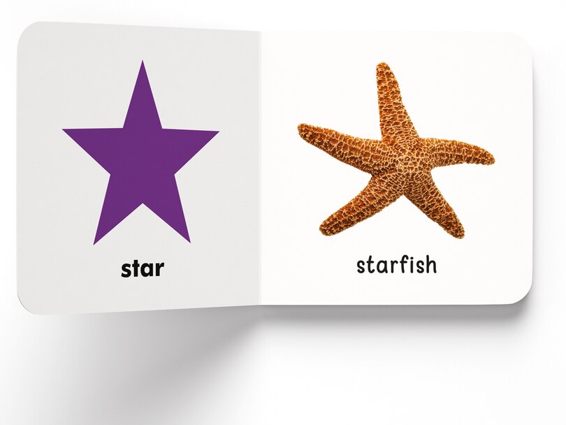 Aper&ccedil;u du contenu_My First Book of Shapes: First Board Book