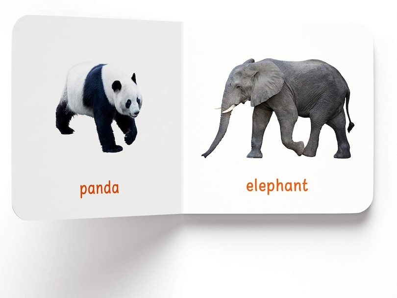 Aper&ccedil;u du contenu 2_My First Book of Wild Animals: First Board Book