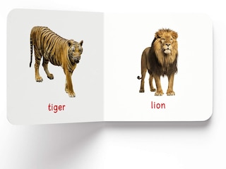 Aper&ccedil;u du contenu 3_My First Book of Wild Animals: First Board Book