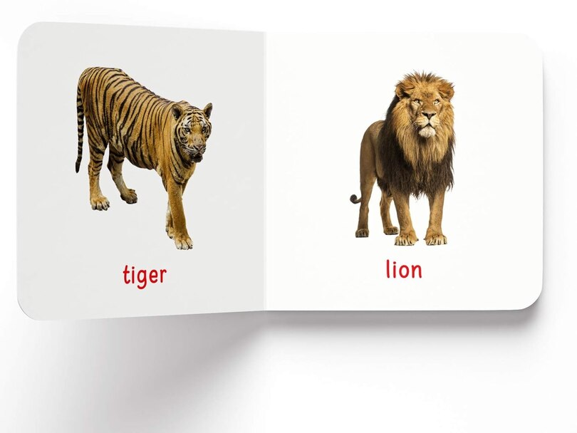 Aper&ccedil;u du contenu 3_My First Book of Wild Animals: First Board Book