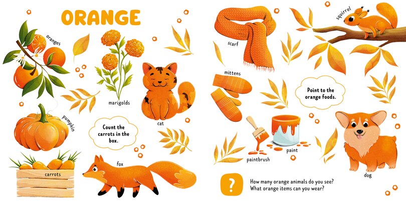 Sample content 2_My First Colors