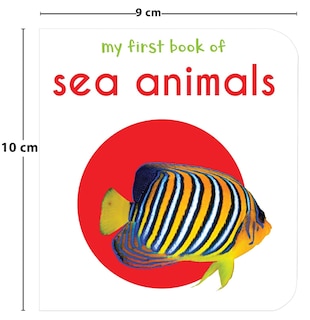 Aper&ccedil;u du contenu_My First Library: Boxset of 10 Board Books for Kids