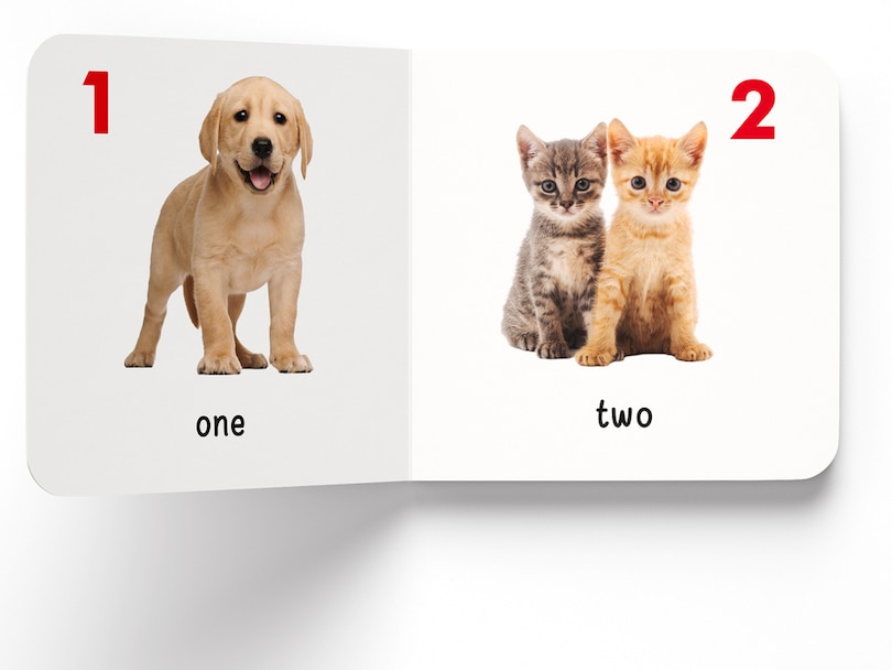 Aper&ccedil;u du contenu 2_My First Library: Boxset of 10 Board Books for Kids