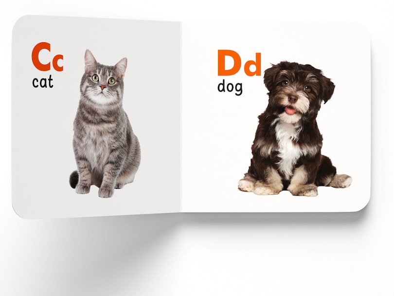 Aper&ccedil;u du contenu 3_My First Library: Boxset of 10 Board Books for Kids