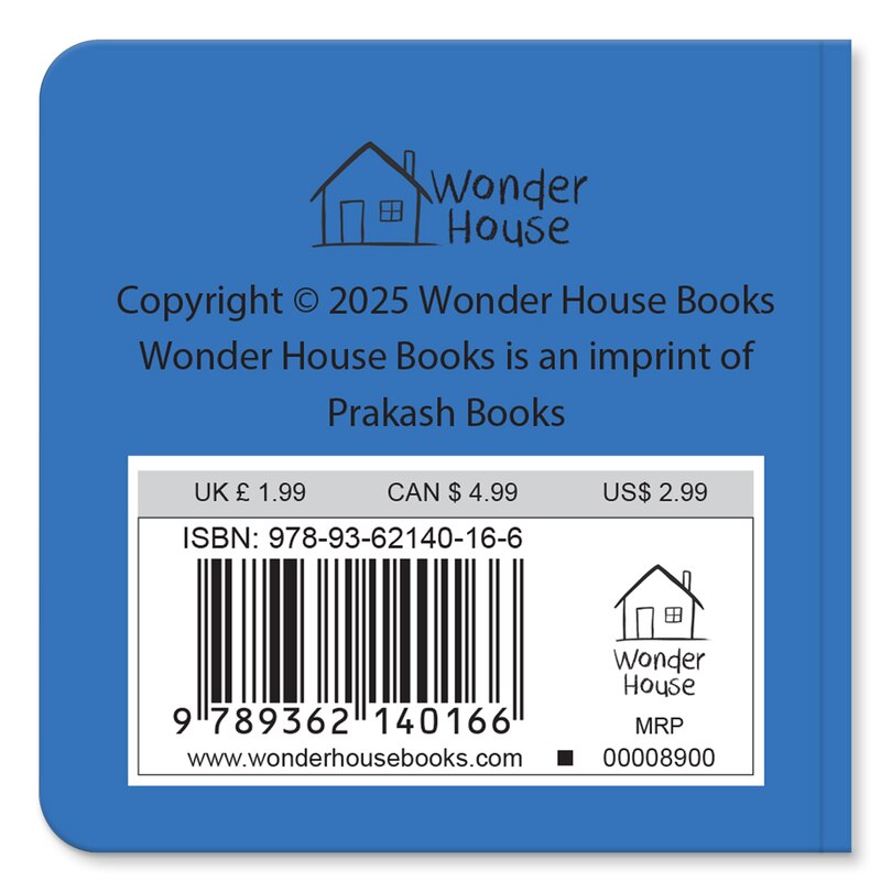 Aper&ccedil;u du contenu 5_My First - Shapes My First Early Learning (Mini Board Books)