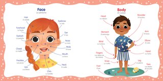 Sample content_My First Spanish Words