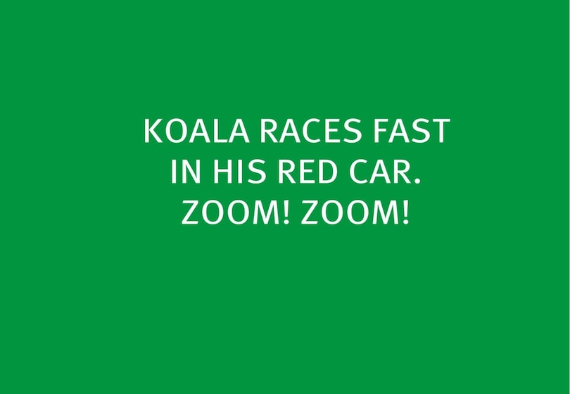 Aper&ccedil;u du contenu_My First Vehicles: Race Car