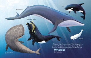 Aperçu du contenu_My Little Golden Book About Whales