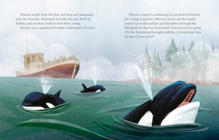 Aperçu du contenu 2_My Little Golden Book About Whales