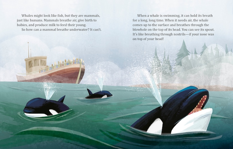 Aperçu du contenu 2_My Little Golden Book About Whales