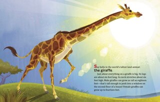 Aperçu du contenu 2_My Little Golden Book About Giraffes