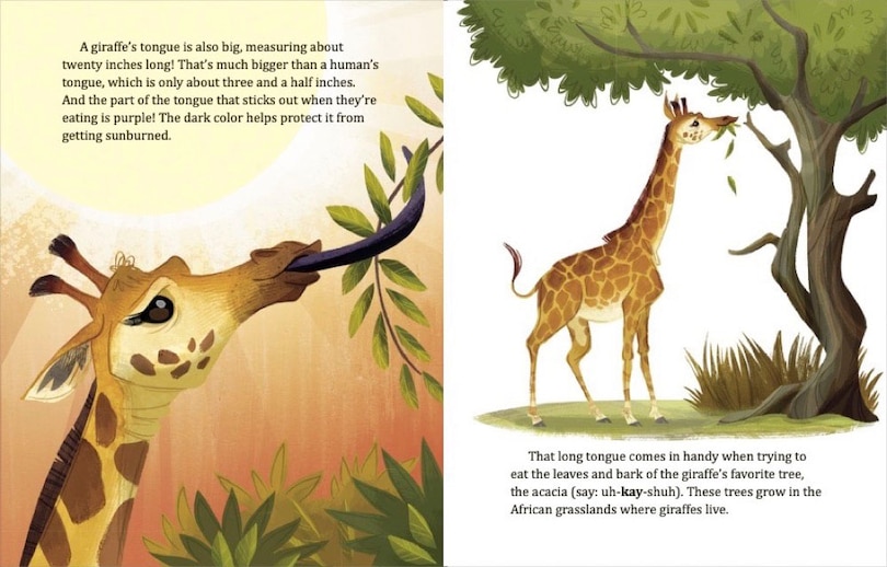 Aperçu du contenu 2_My Little Golden Book About Giraffes