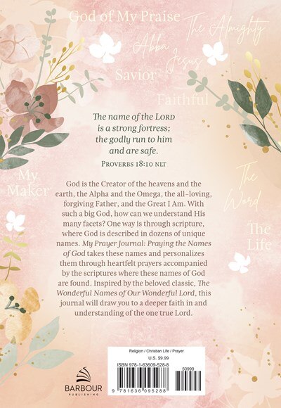 Back cover_My Prayer Journal: Praying the Names of God