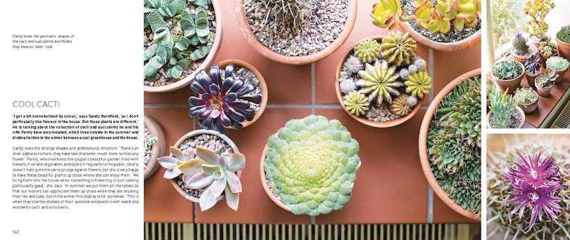 Aper&ccedil;u du contenu_My Tiny Indoor Garden